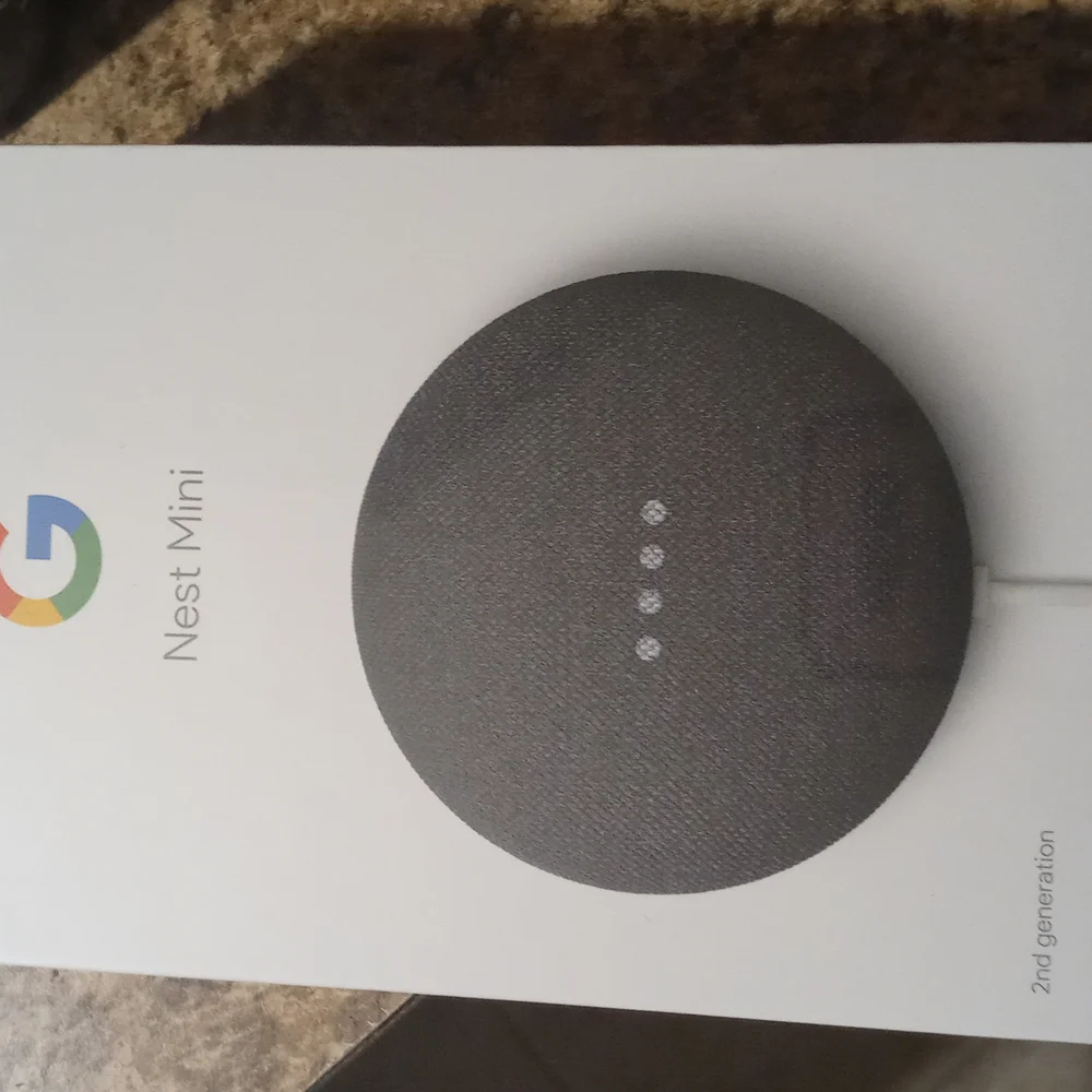 Nest mini